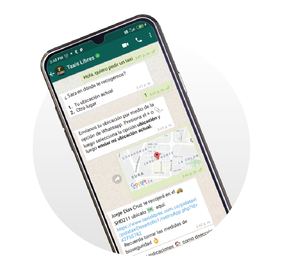 Captura de pantalla de Taxis Libres App Conductor