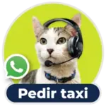Logo de WhatsApp