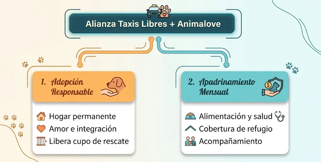 Alianza Taxis Libres y Fundación Animalove: adopción responsable y apadrinamiento mensual de peluditos rescatados