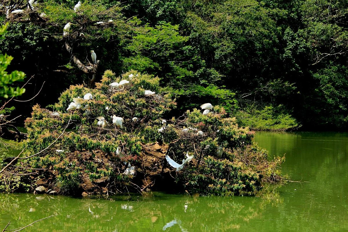 Ecoparque de las Garzas