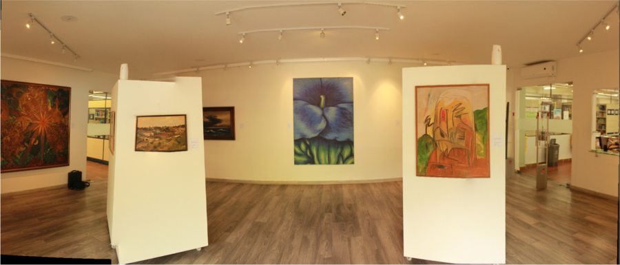 Museo del Arte Moderno en Bucaramanga