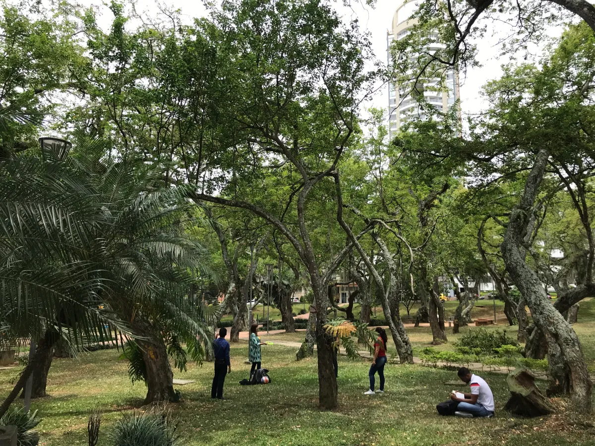 Parque Guillermo Sorzano en Bucaramanga