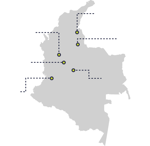 Taxis Libres en Colombia, Bogotá 