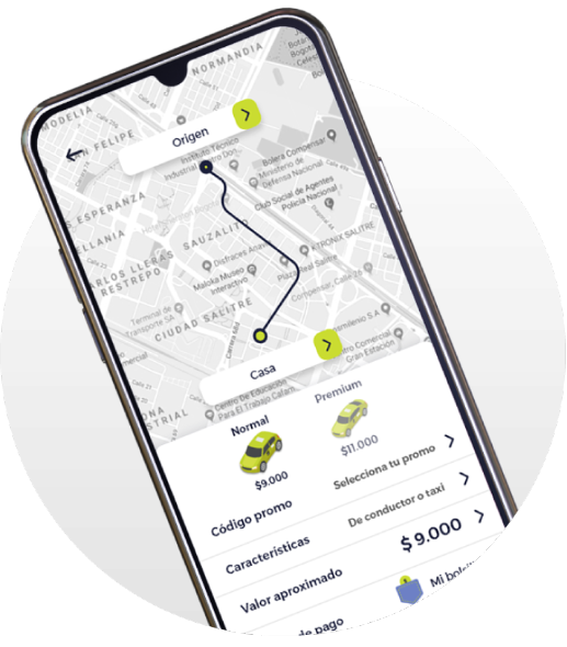 Captura de pantalla de Taxis Libres App Conductor