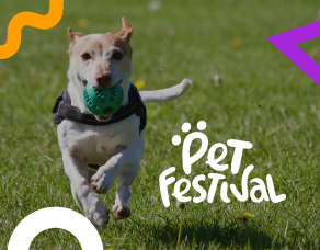 Pet Festival se une a Taxis Libres Cali