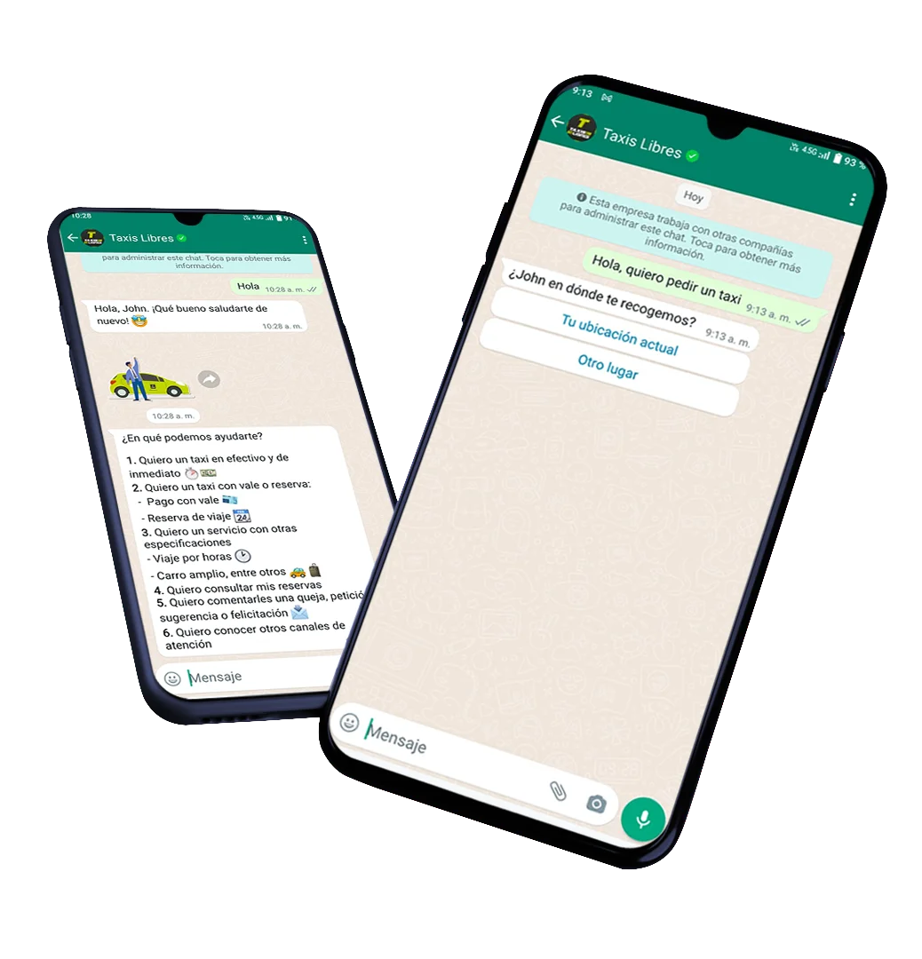 Captura de pantalla de Taxis Libres App Conductor
